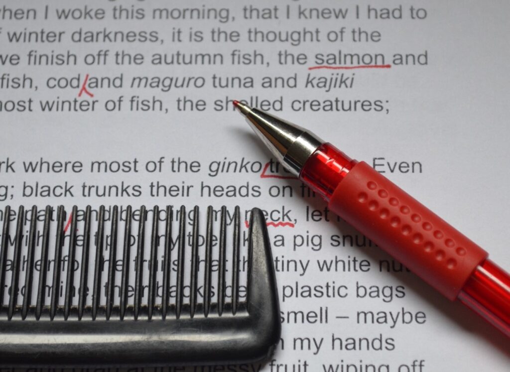 A fine toothcomb - proofreading stage of fiction editing